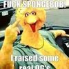 jimmyrhoades